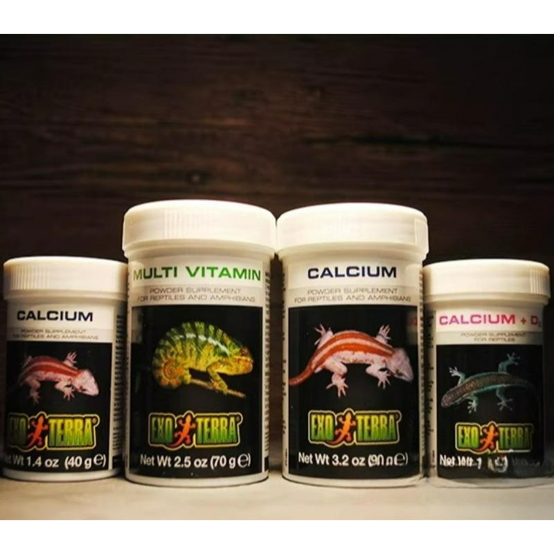 HAGEN Reptile Calcium Powder W - Vitamin D3 Reptile review and price