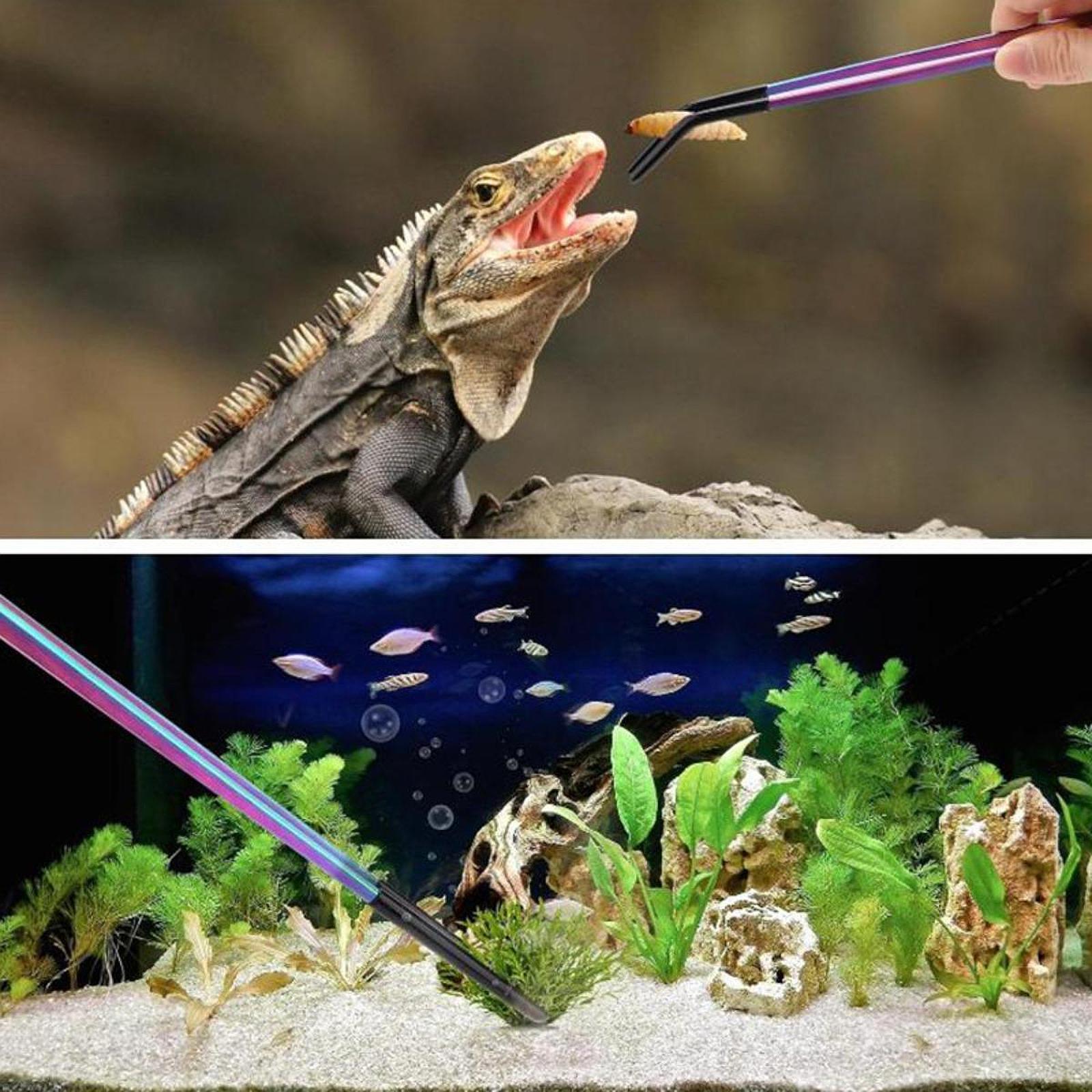 Aquarium Tweezers Reptile Feed - Feeding Tong Stainless review and price