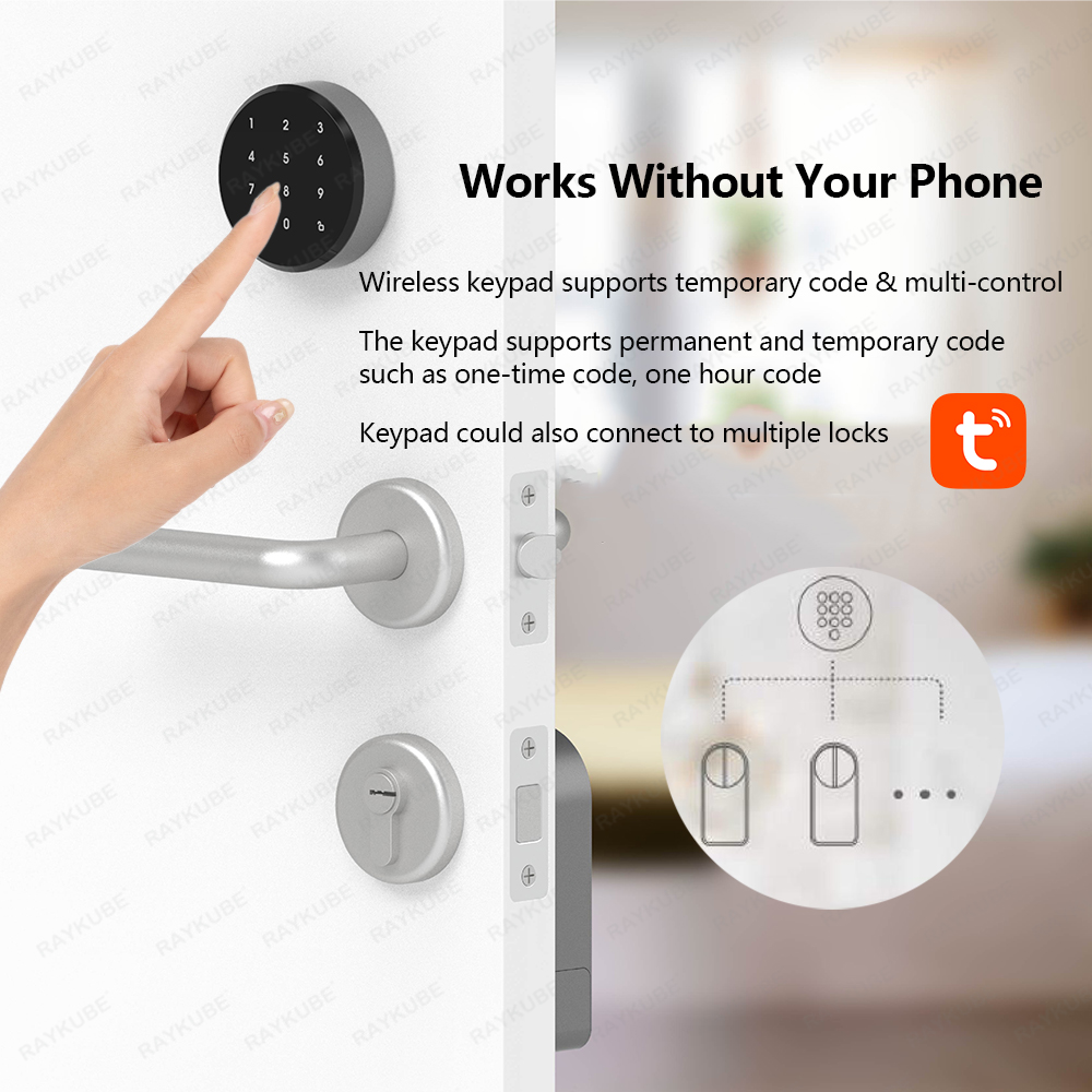 RAYKUBE A1 Pro Tuya BEL Smart  - Glass Door Hinge review and price
