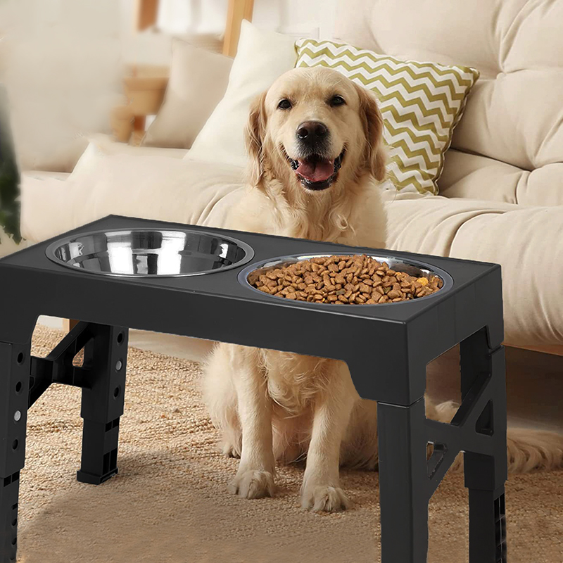 BOOTEELY Elevated Dog Feeder B - Royal Canin Food Medium review and price