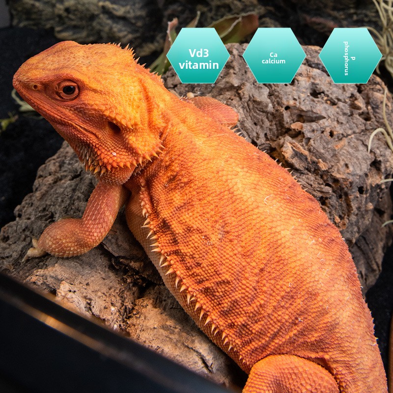 SuperRep Reptile Calcium Pro-V - Vitamin D3 Reptile review and price