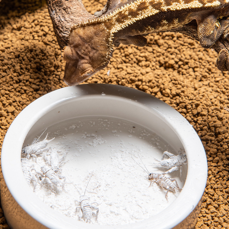 SuperRep Reptile Calcium Pro-V - Vitamin D3 Reptile review and price